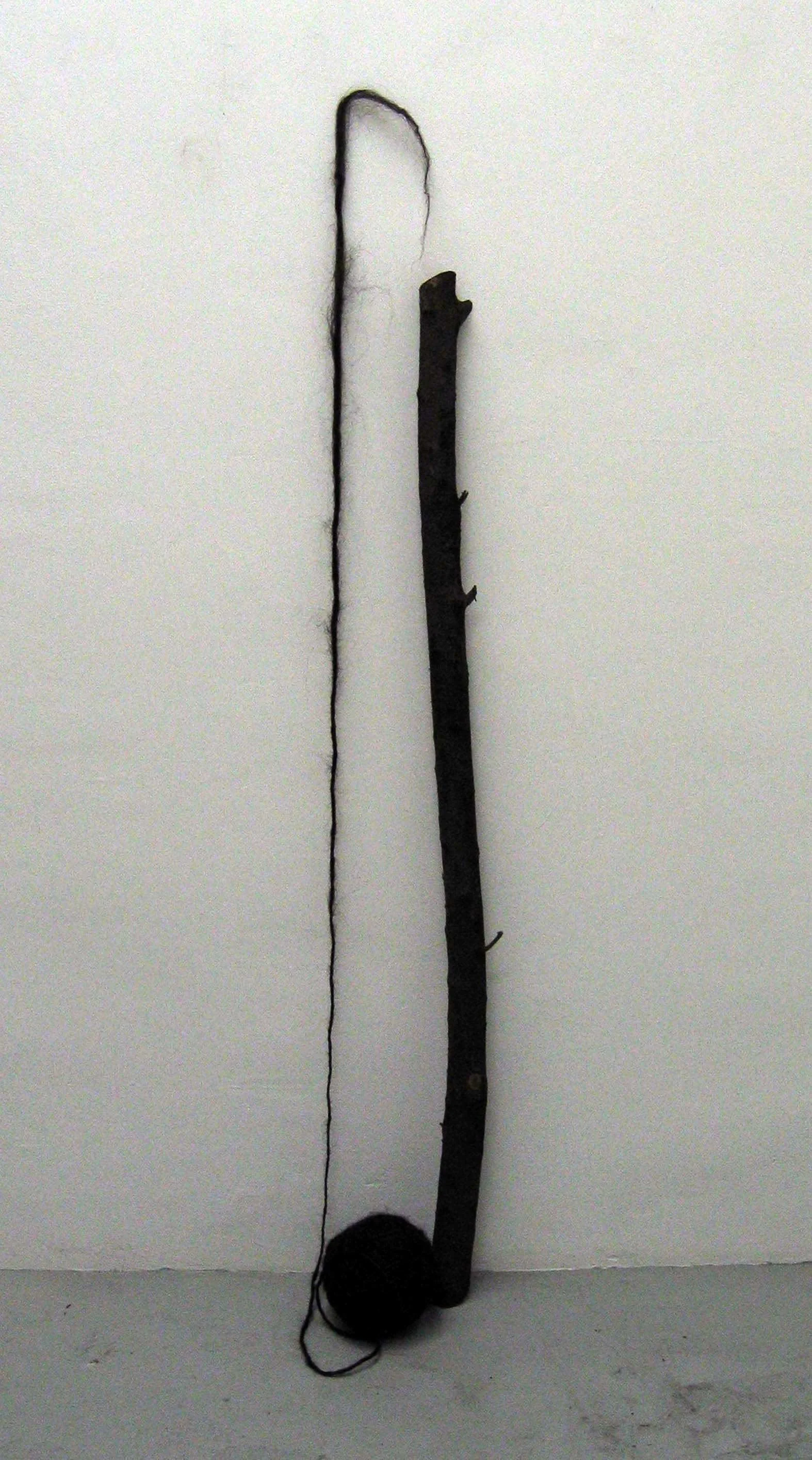 Branch, Hair Ball
