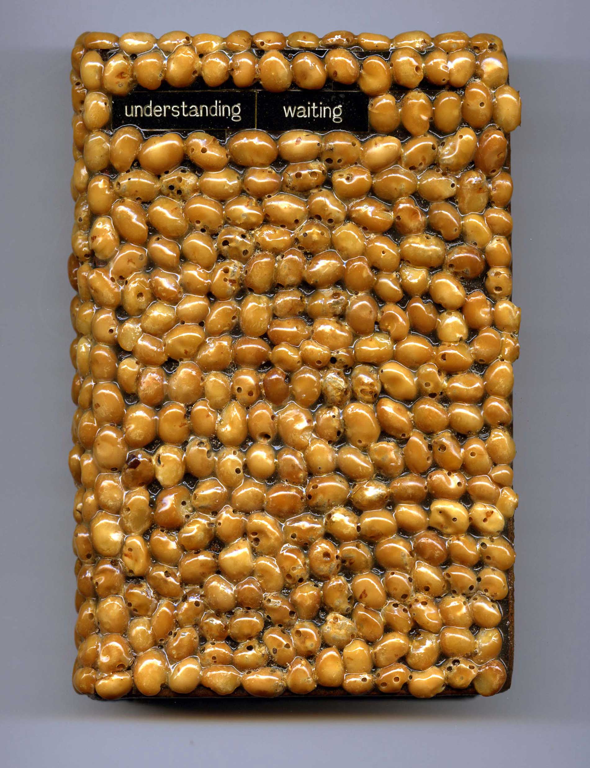06---Seeded-Book-Waiting-cover.jpg