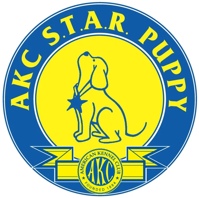 StarPuppyProgramLogo.jpg