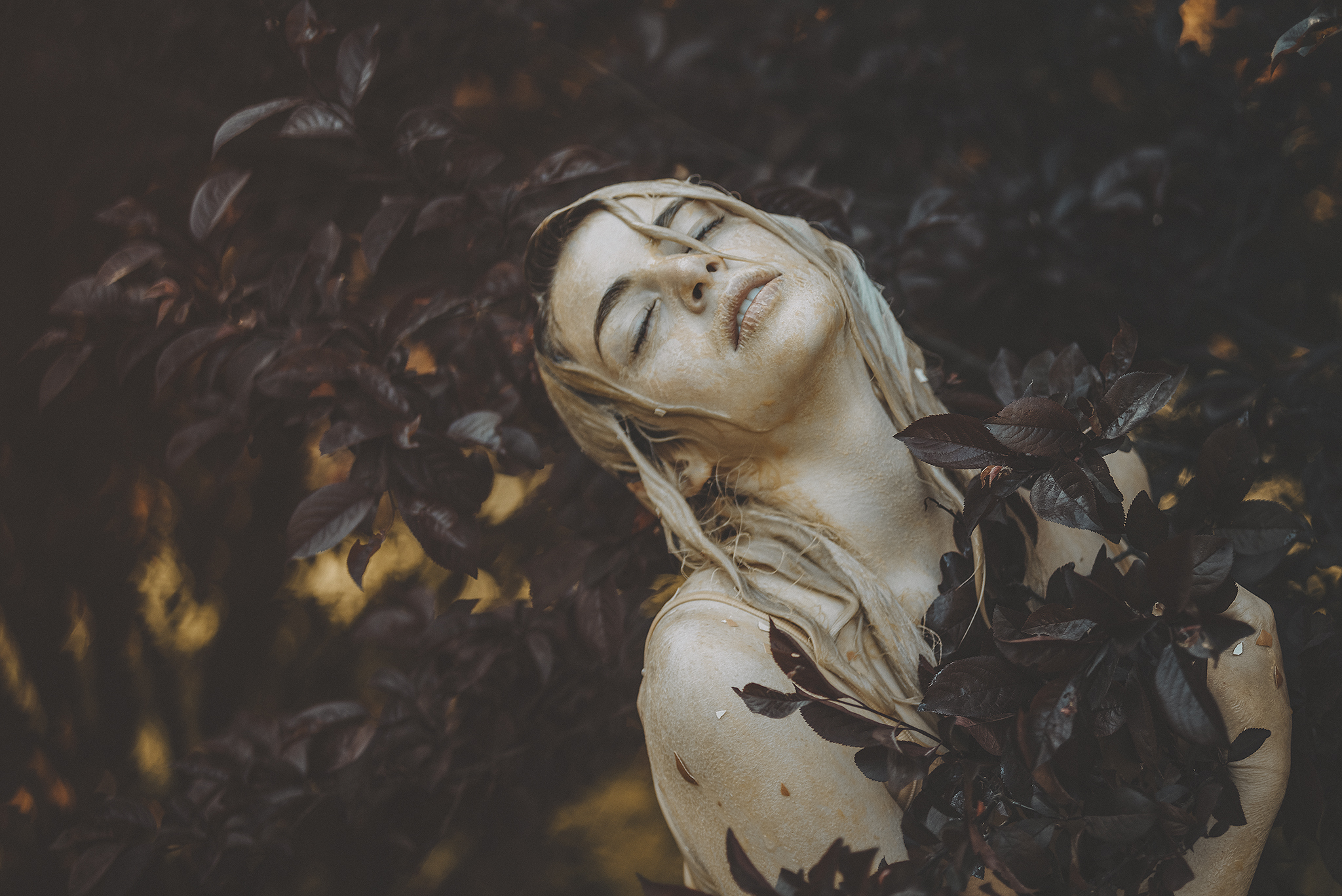 _IMG9143p.jpg