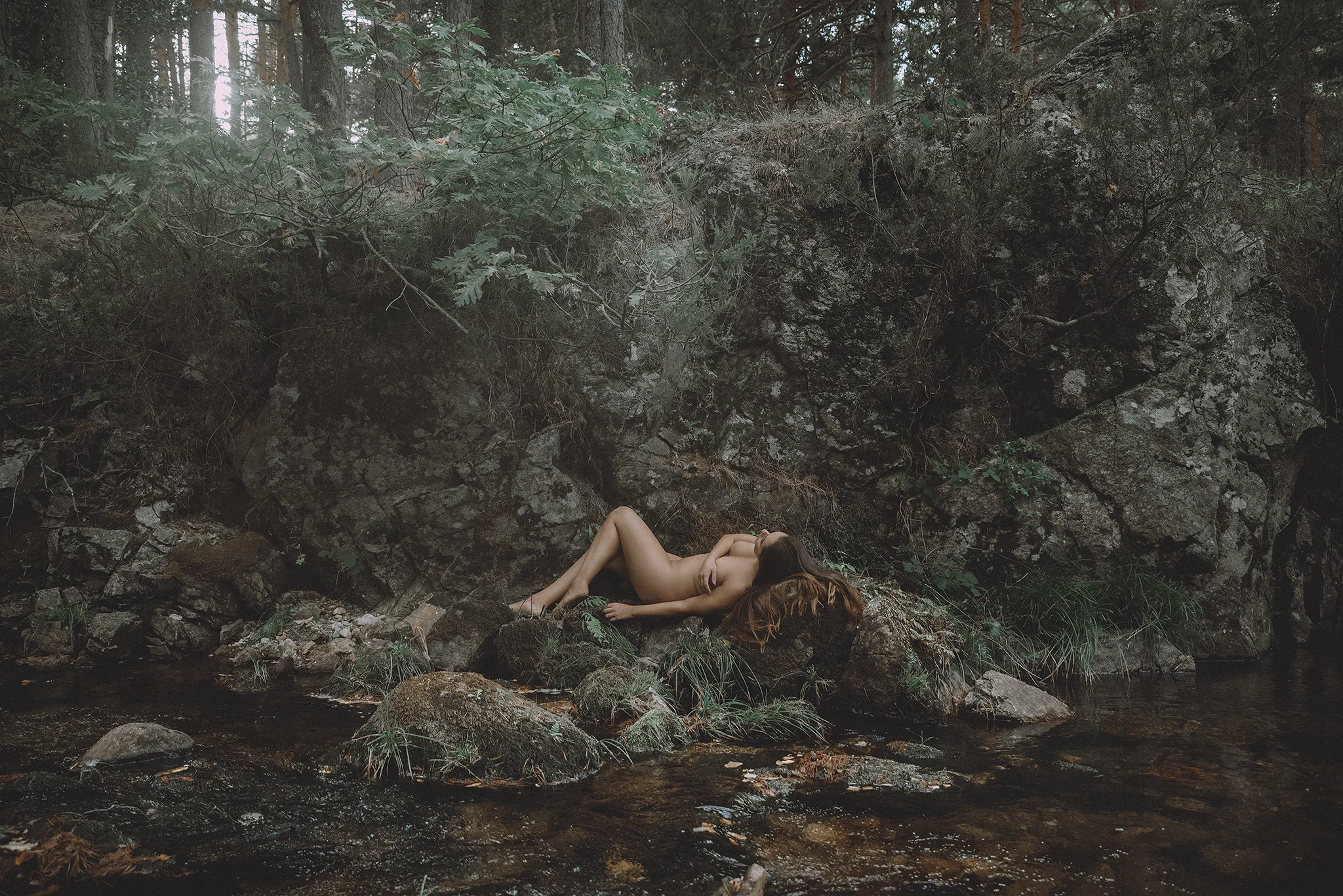 _IMG0192p.jpg
