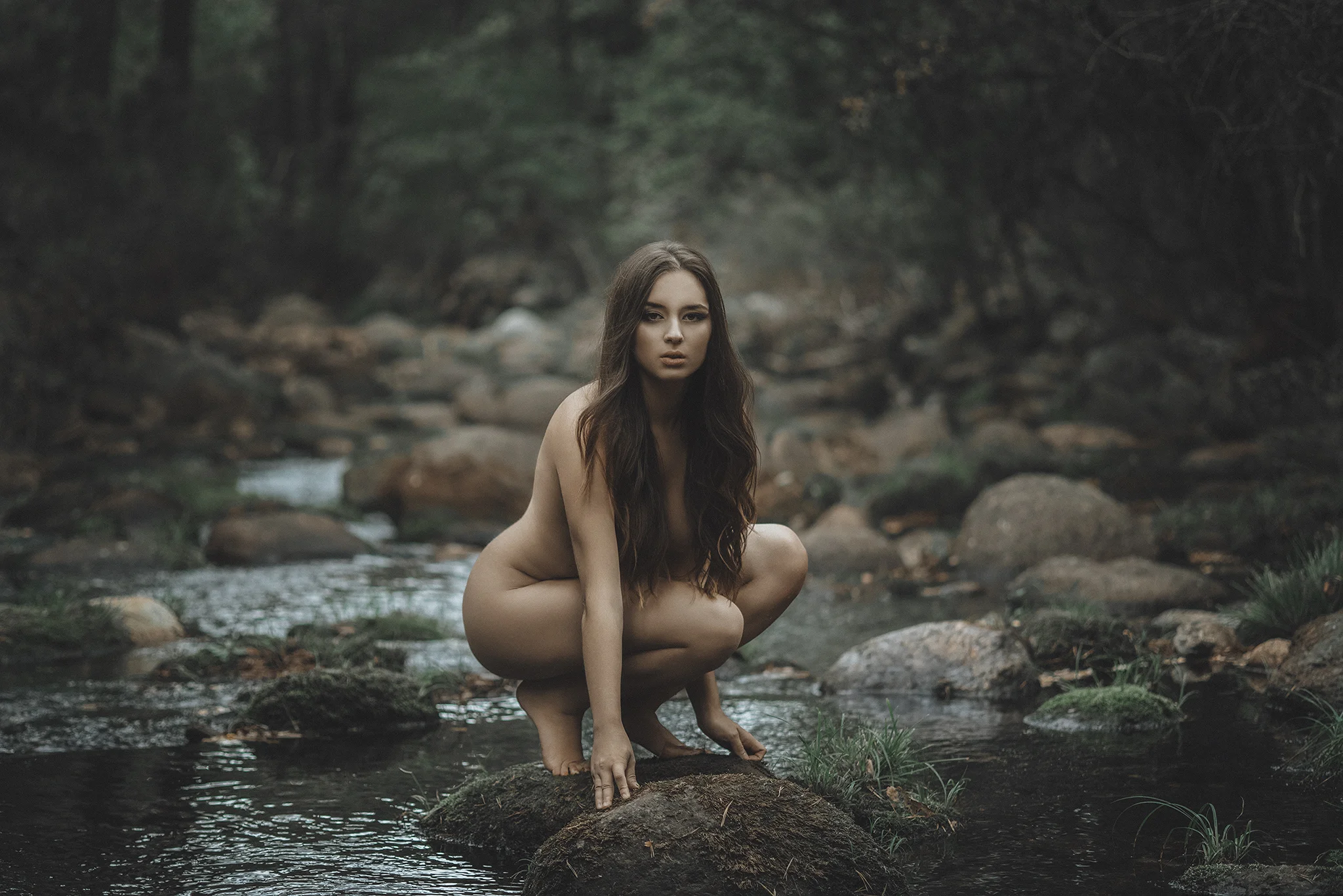 _IMG0239p.jpg