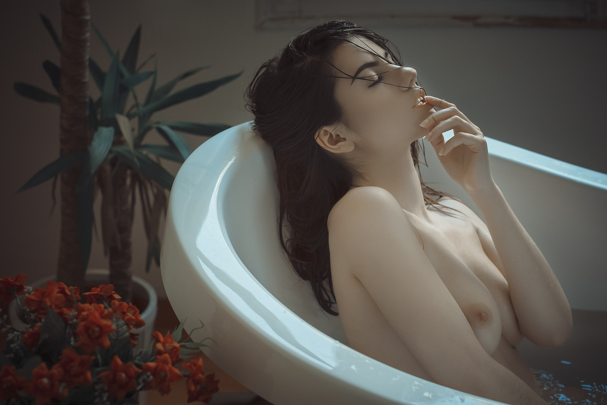 _IMG0180v2p.jpg