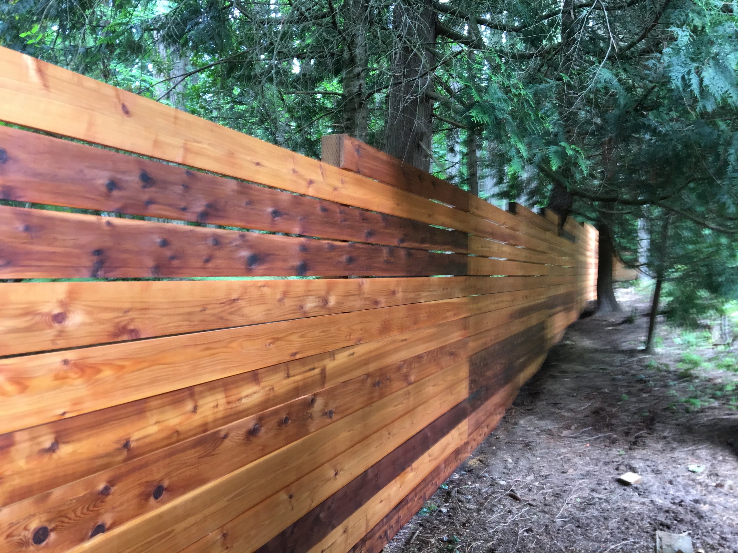 Modern Forest Dweller, Woodinville, WA, 2018