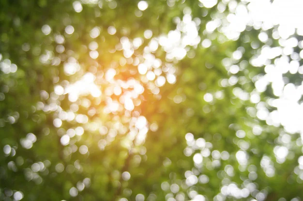blurred-beautiful-nature-background-blurry-leaf-bokeh-forest-background-usage_1715-992.jpg