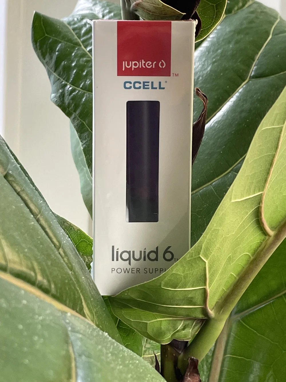 Jupiter Vaporizer Pen / Battery — Synergy