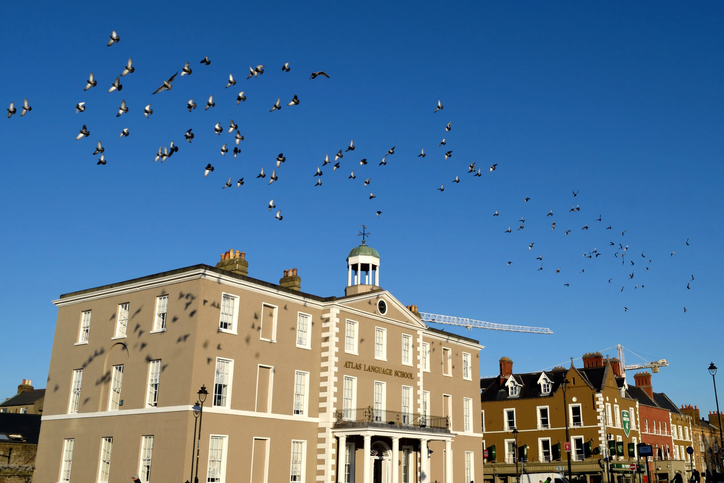 What Can We Do For The Homeless?