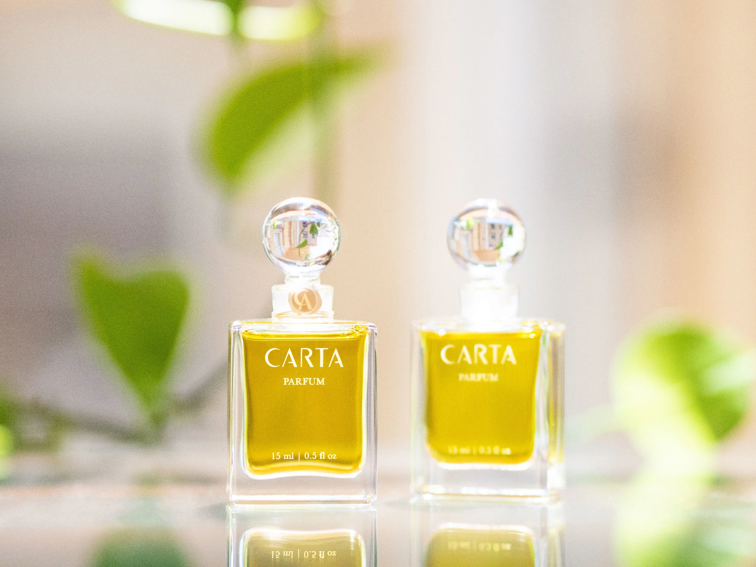 CARTA_15ML_DOUBLE.jpg