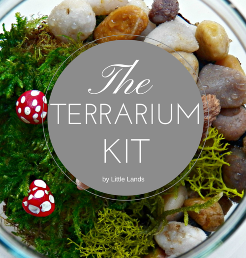 Little Lands Terrarium Kit - Just Add Plants