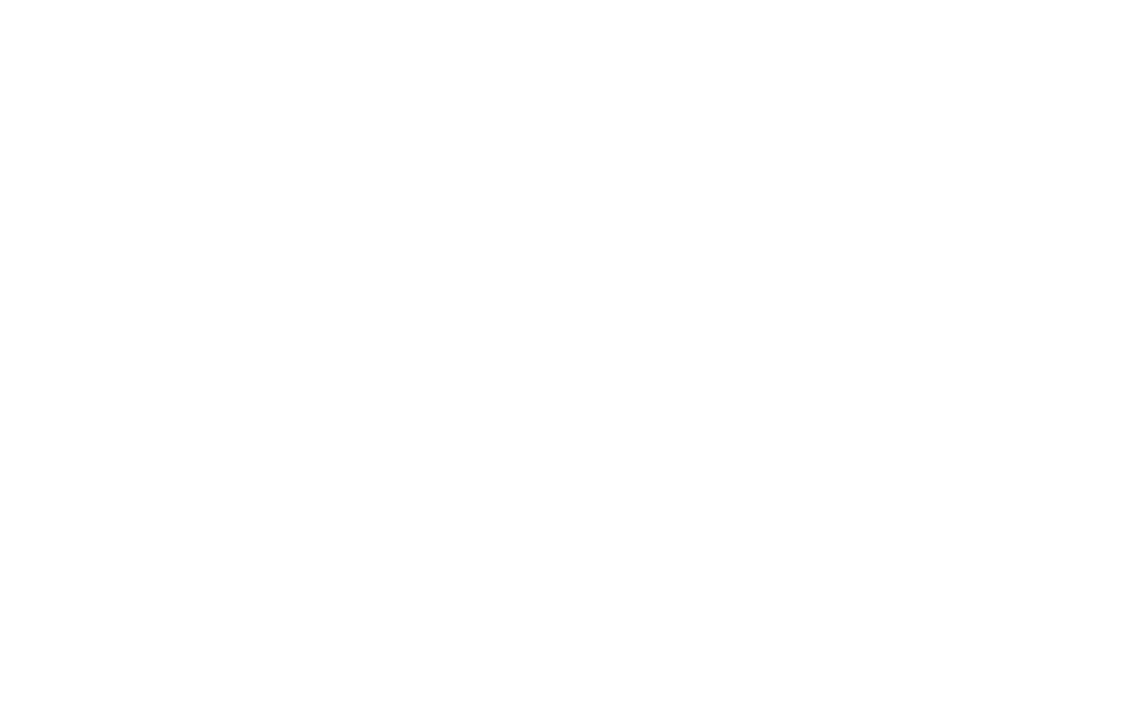 Dominican Joe Foundation