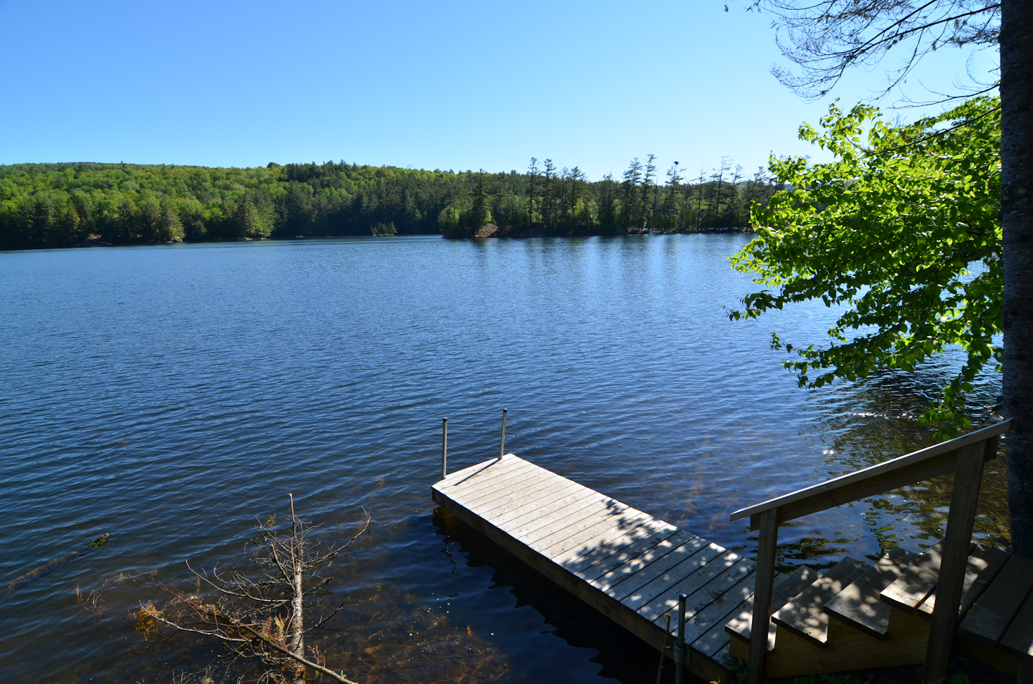 Morningside Cabin 17- Web-49.jpg