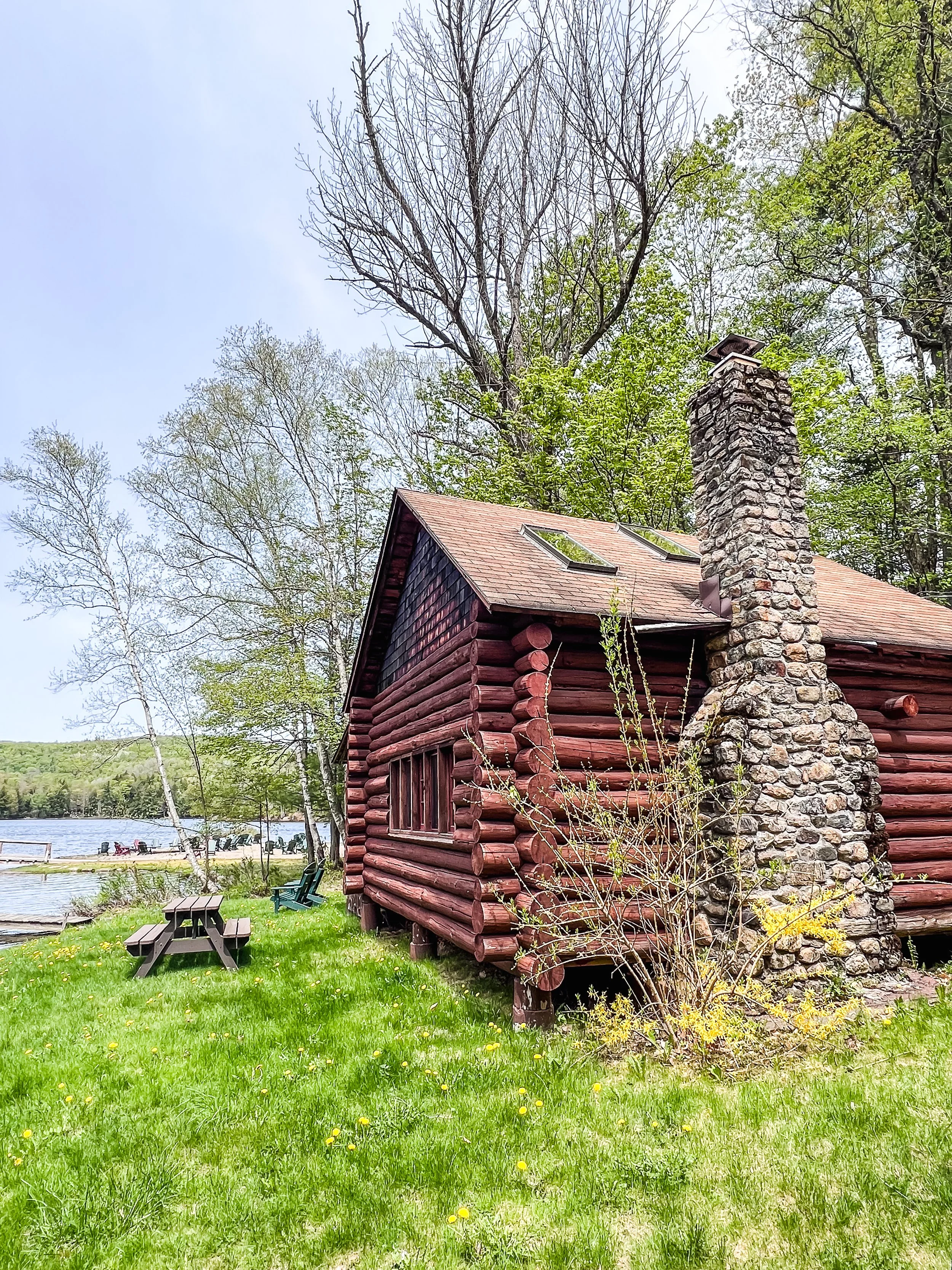 IMG_0830.jpg