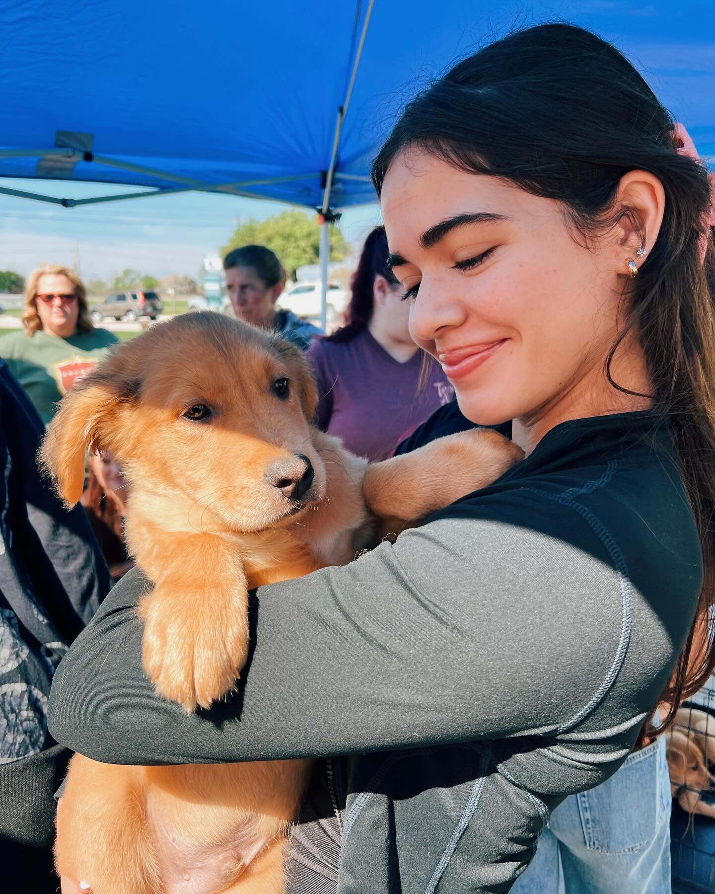 suns out pups out! we had the BEST time helping @urgentanimalsofhearne at their some bunny to love adoption event! 💐🌷🌸

check out their facebook page for available pups and cats if interested! #adoptdontshop