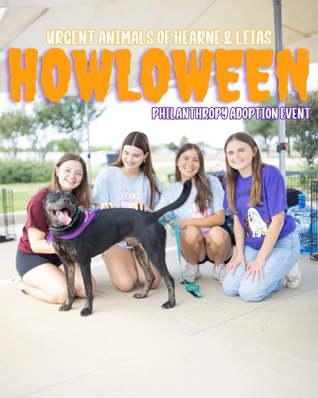 No tricks, just treats &mdash; and maybe your new fur-ever friend! 🎃 🐶 

Our girls had so much fun at the Howloween adoption event presented by LEIAS for the benefit of Urgent Animals of Hearne @urgentanimalsofhearne and hosted at @theranchhd ! The