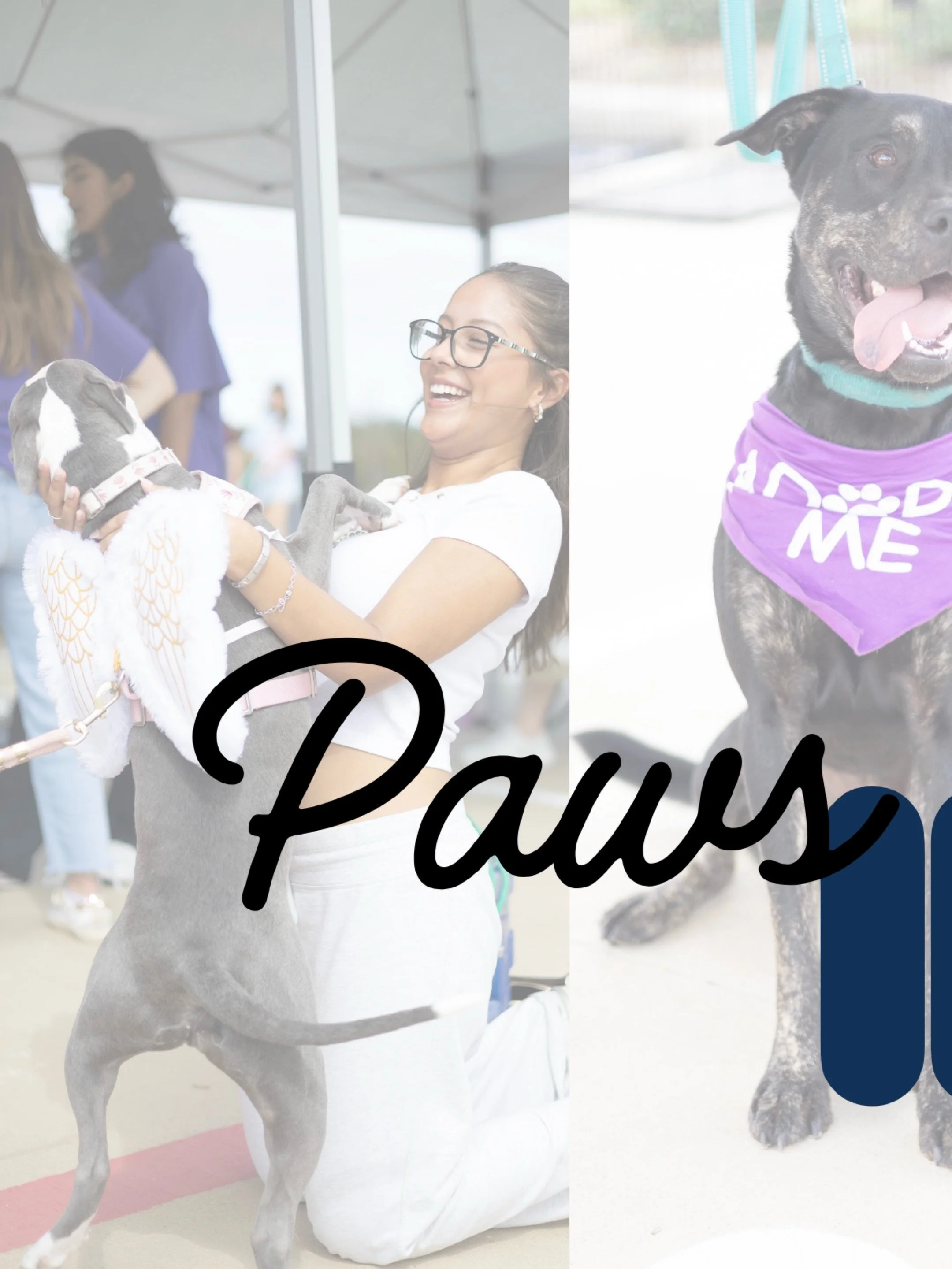 PAWS IN THE PARK IS IN 8 DAYS! 🎃🐶
Join LEIAS on October 29th for Paws in the Park!

Paws in the Park is this year&rsquo;s Halloween-themed philanthropy event filled with Halloween festivities to celebrate our love for animals while supporting a mea