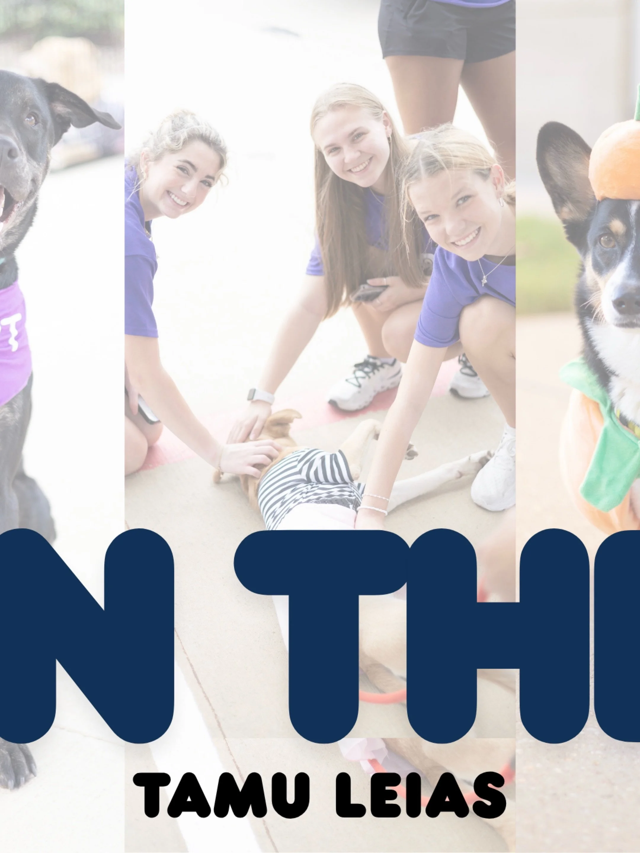 A CAUSE CLOSE TO OUR HEARTS | ABOUT OUR PHILANTHROPY💜

LEIAS is proud to support Zoi&rsquo;s Animal Rescue, a foster-and donor-based rescue serving the greater Brazos Valley.

Zoi&rsquo;s provides a safe haven for abandoned, neglected, and dumped do