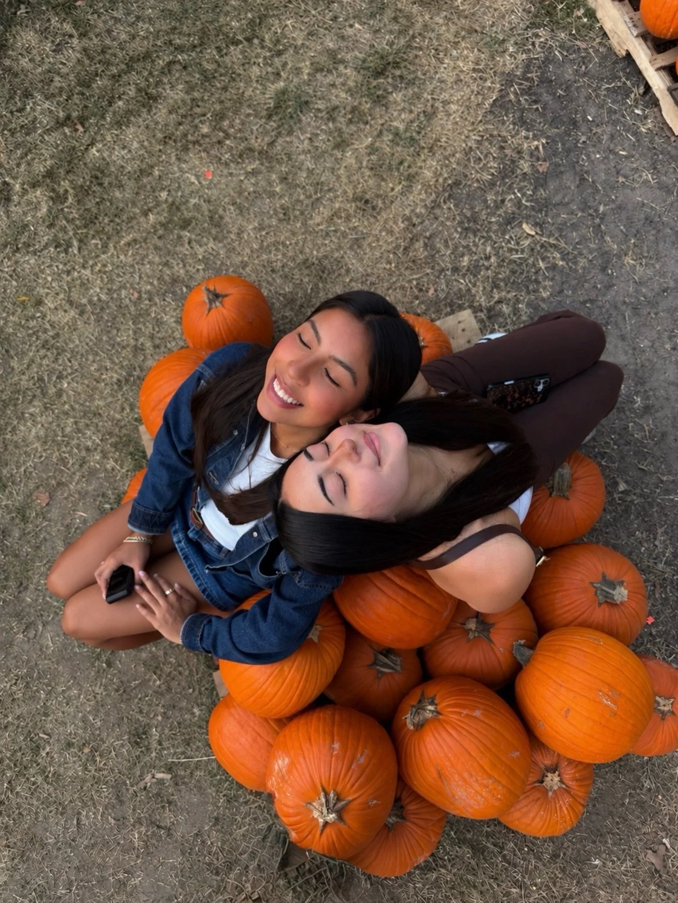 falling for fall🍂🎃🤎

#tamu #pumpkinseason #pumpkinpatch #fall #fallvibes