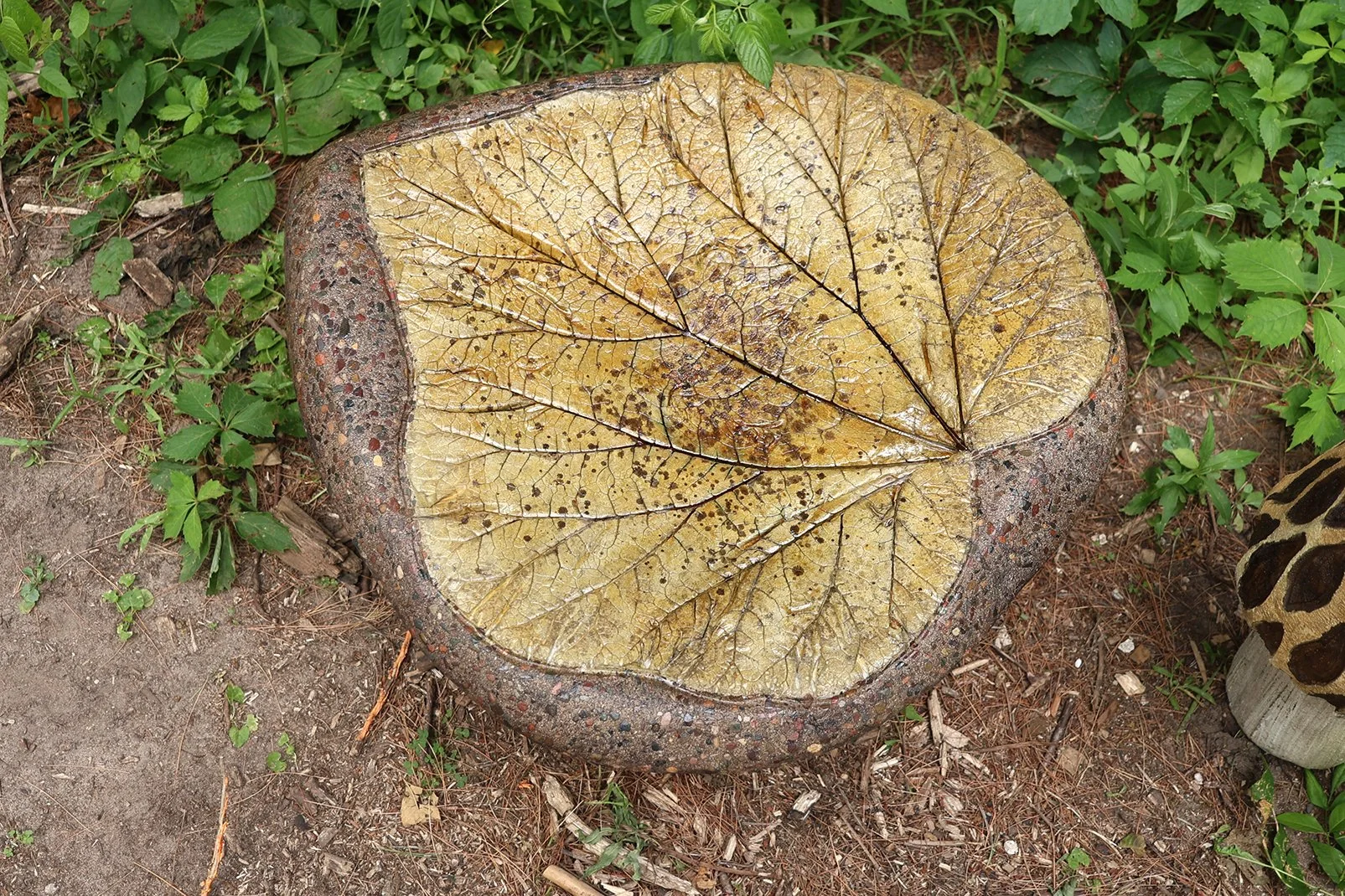 Amber Weathered Bronze Top