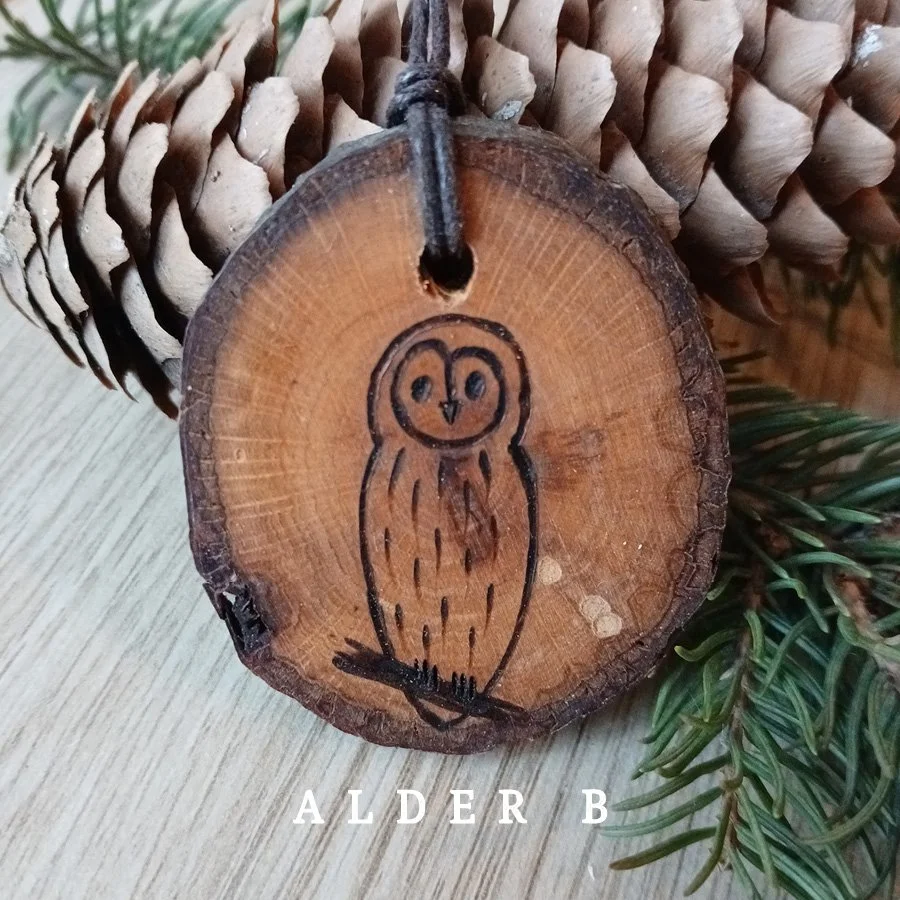 Owl