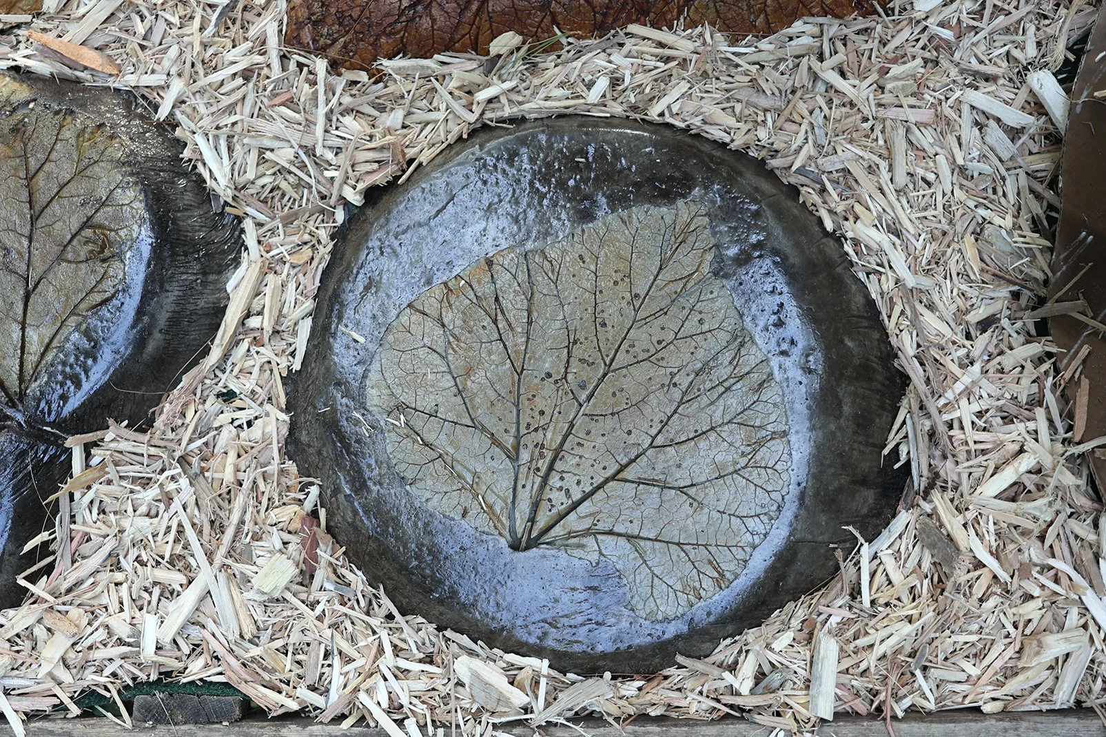 1`.jpg