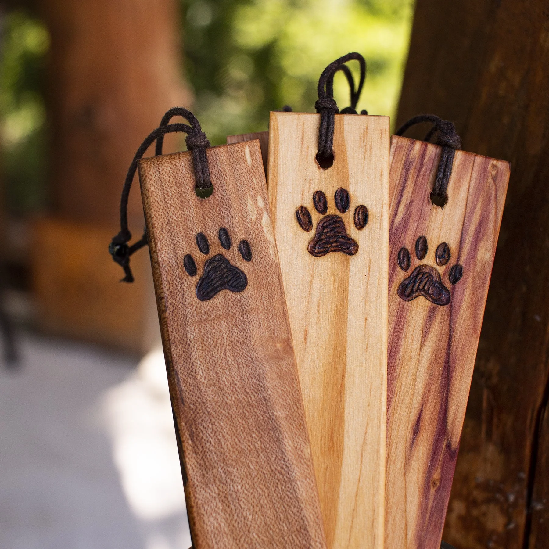 Paw Print (Dog/Wolf)