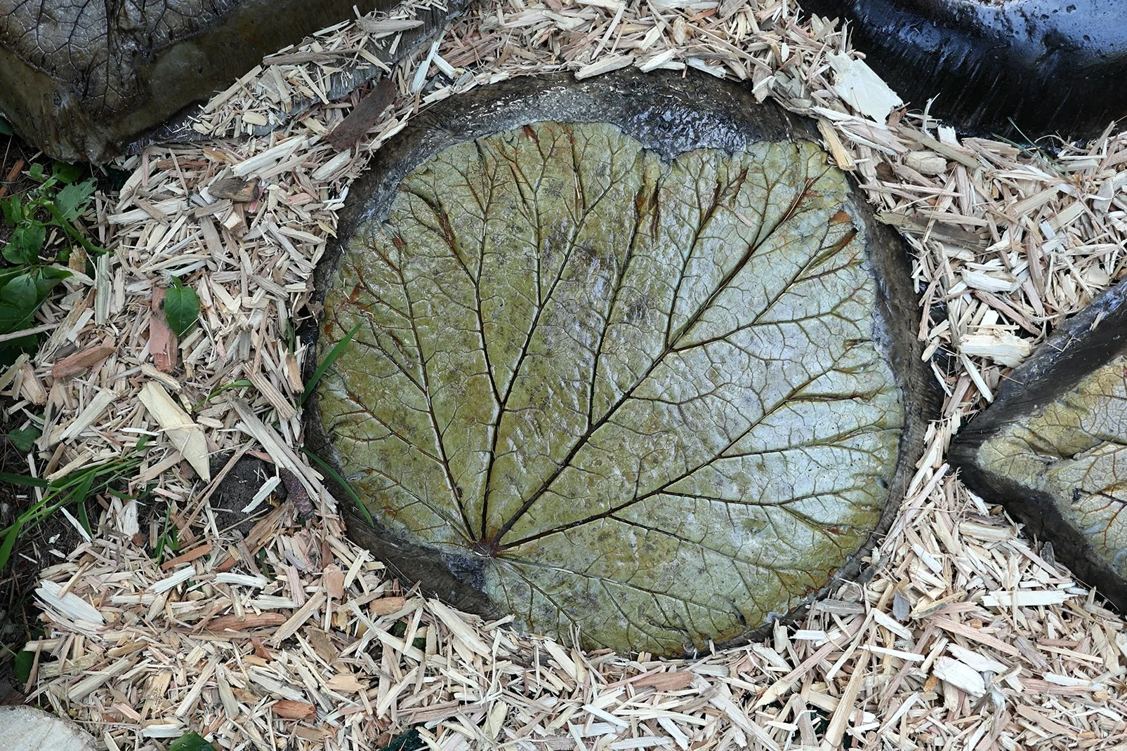 Weathered Bronze