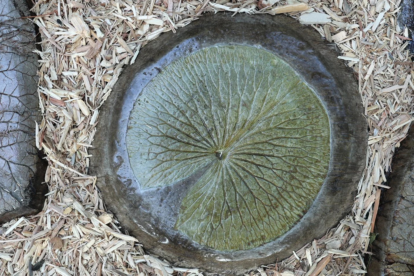 Weathered Bronze