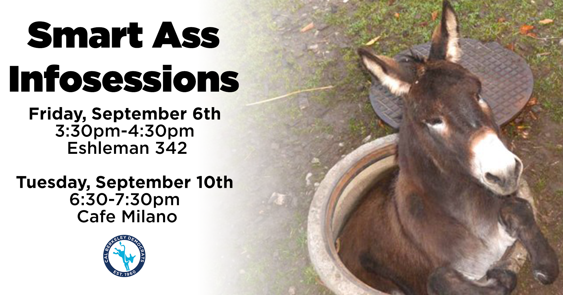 Interested in becoming a Smart Ass? Join the committee that manages Cal Berkeley Democrats' official publication! If you think you have what it takes, apply to become a writer, editor, or graphic designer and help us create our Fall 2019 Edition of the publication. We provide UC Berkeley with a glimpse into how students are interpreting today’s political insanity. In the wake of resurgent far-right politics, Russian interference in the 2016 presidential election, regressive policy crafted by a Republican-controlled Congress, and growing international animosity toward the US, it is more crucial than ever for progressive college students to be engaged and active in today’s politics. One way to become more engaged in today's politics is to raise awareness on the political issues that are important to you, and The Smart Ass may be the perfect platform for you to do just that! The Smart Ass is published both online (https://www.caldems.com/smart-ass) and in print once a semester. If you have any questions, feel free to email smartass@caldems.com Application: tinyurl.com/SmartAssFall19