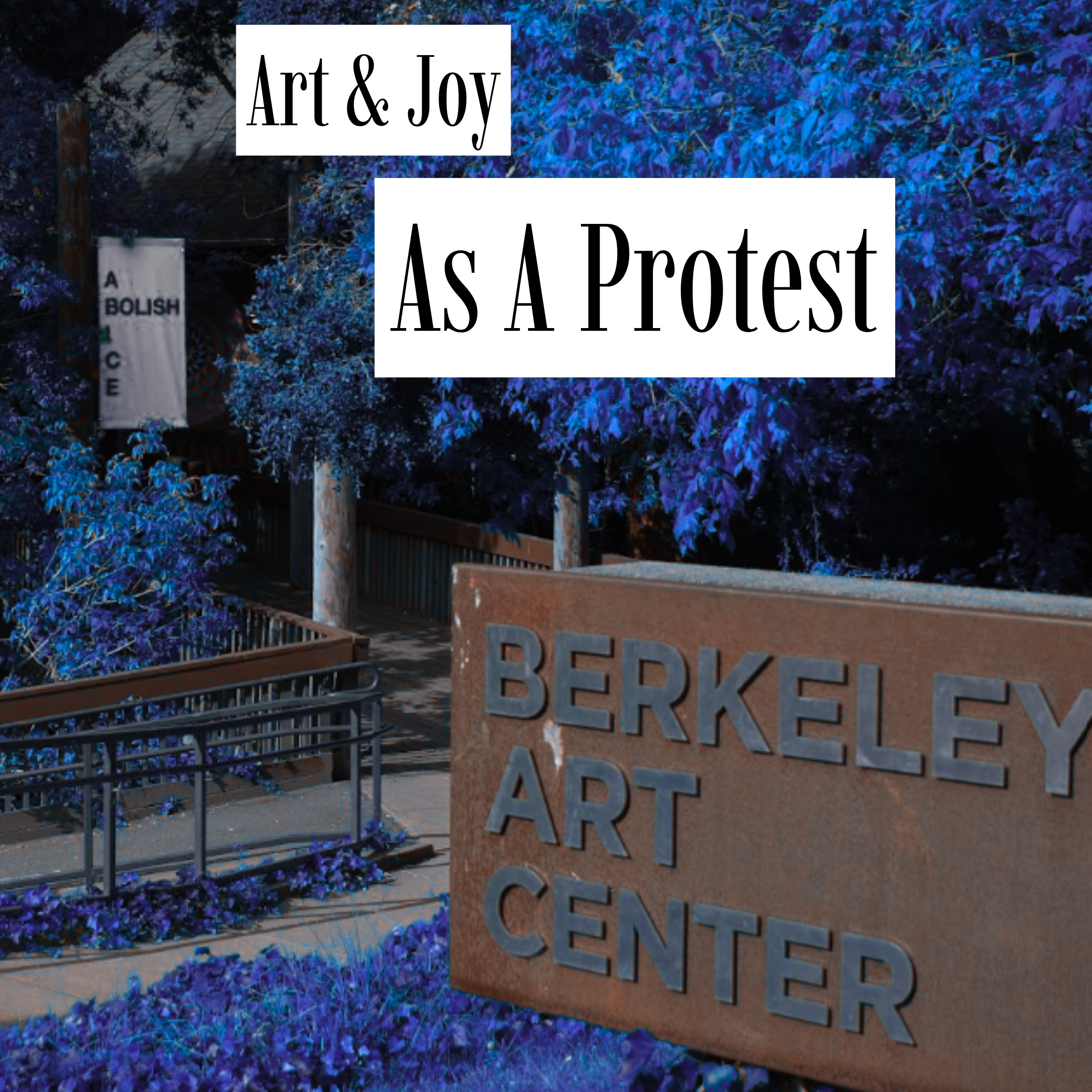 Art &amp; Joy as Protest