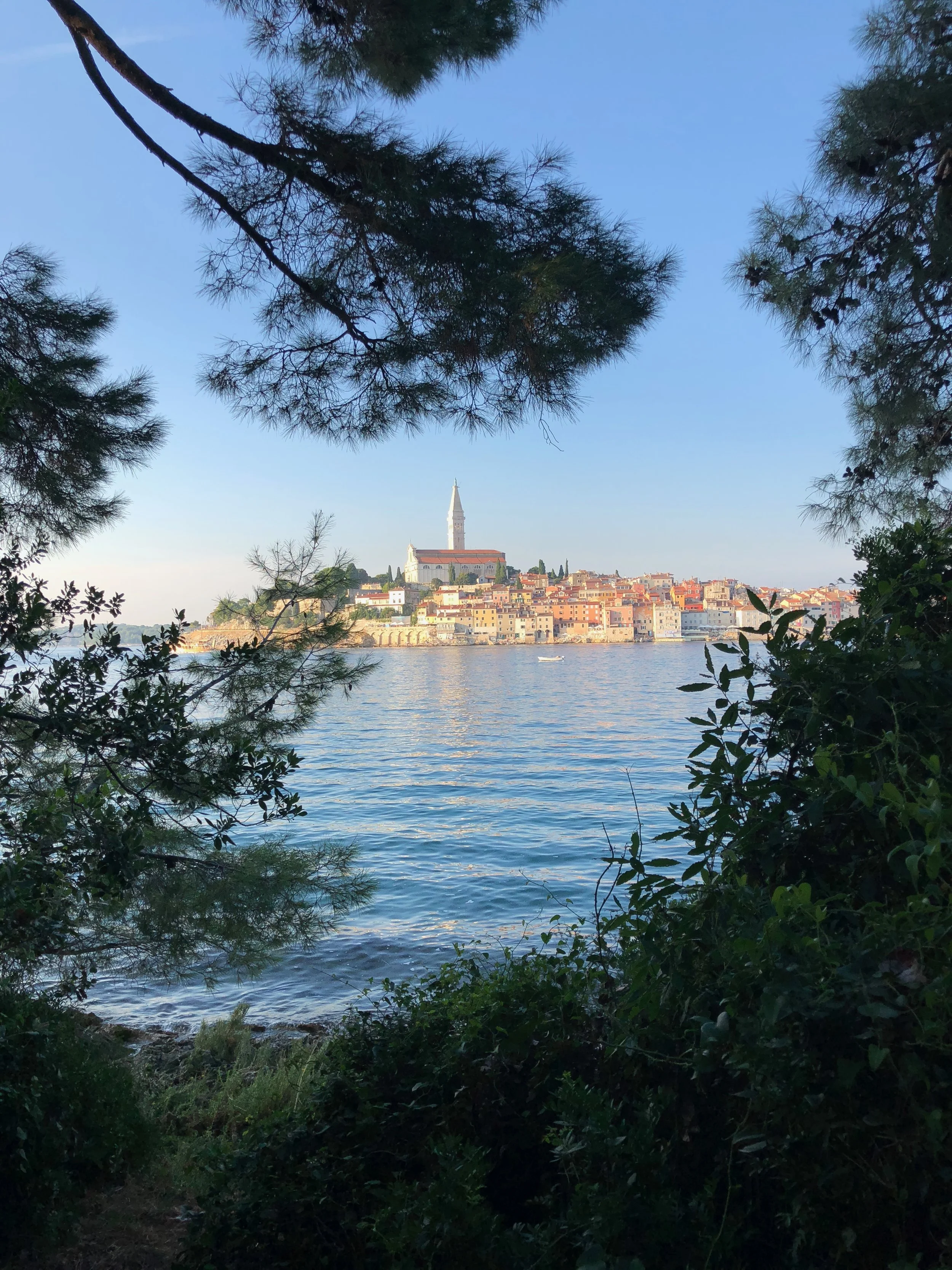 The view of the town of Rovigno from Santa Katarina Island
