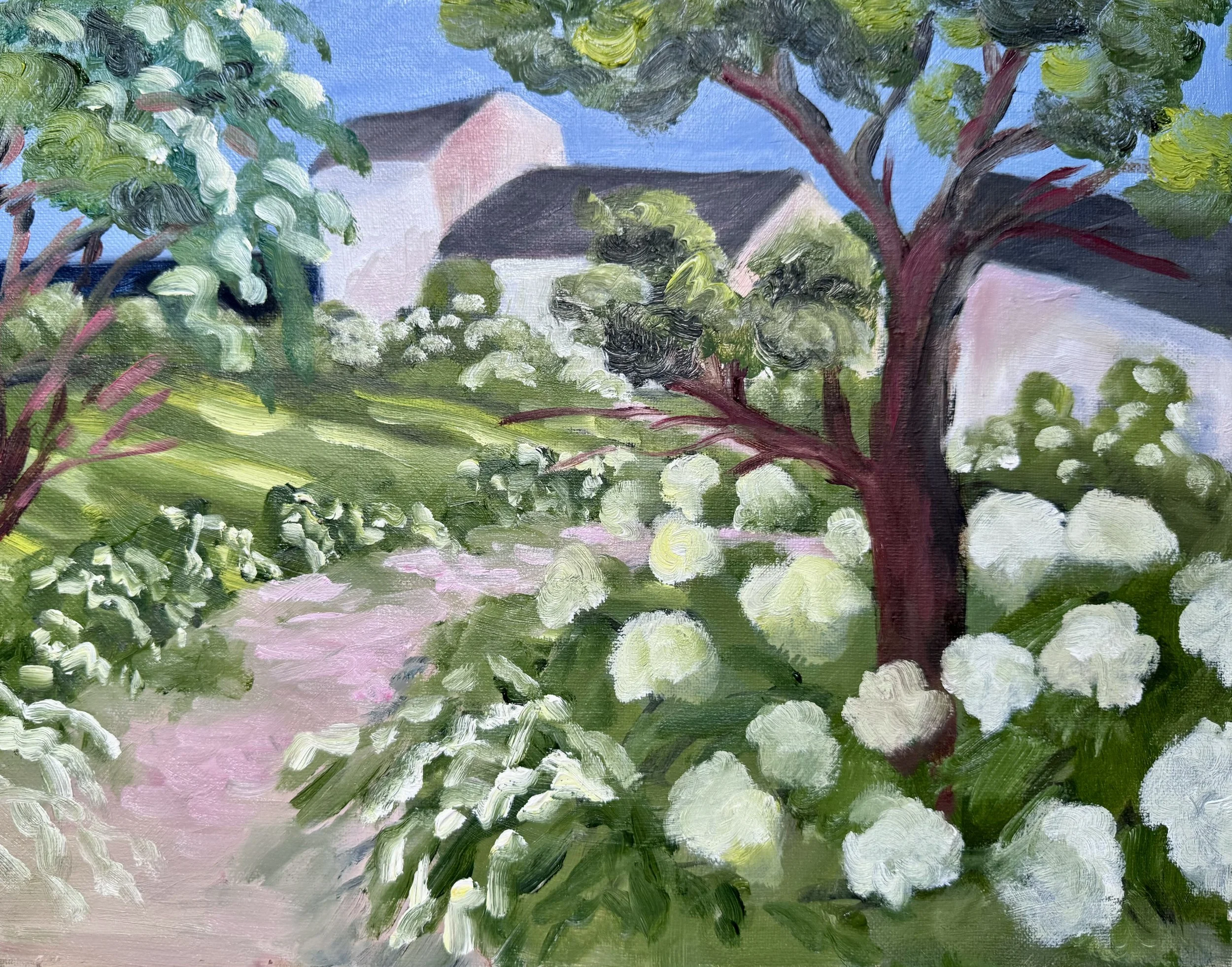 Hydrangea Path-Truro, Cape Cod.jpg