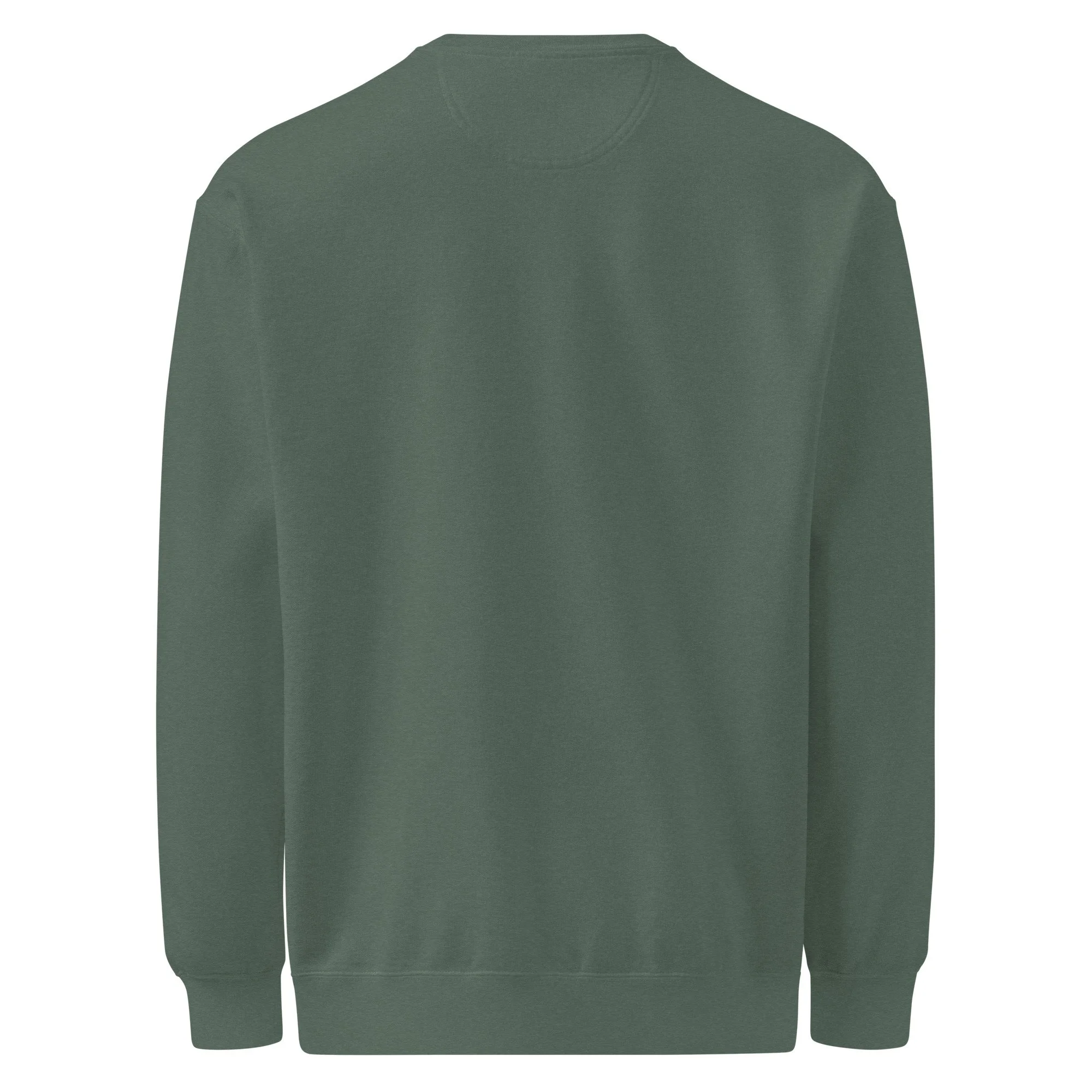 unisex-garment-dyed-sweatshirt-blue-spruce-back-6a99943c7cbb7.jpg