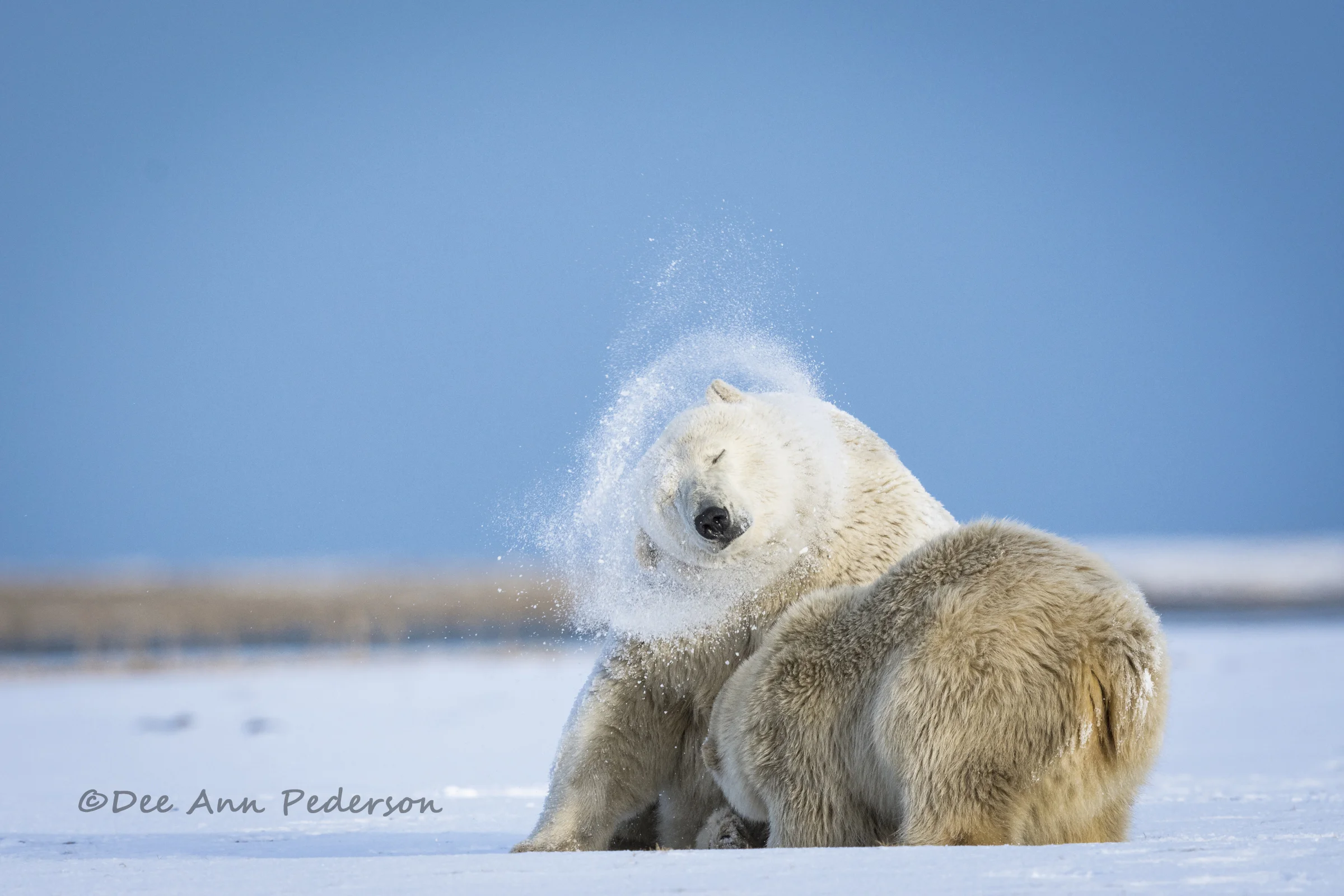 DPederson-Extra If Needed20150926_DP__DSC4723.jpg