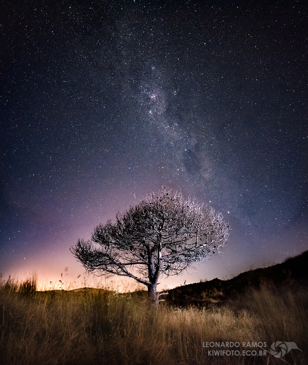 One of my own attempts at seeing the world through the eyes of the Hubble Space Telescope. Image by Leonardo Ramos.