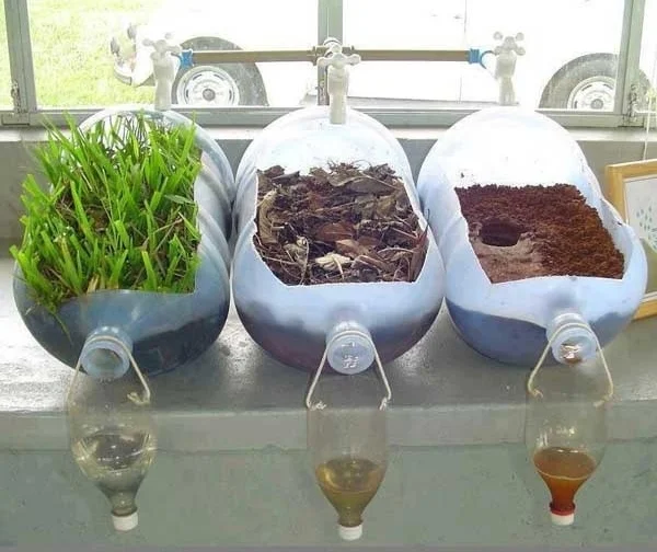 This simple science experiment shows just how much plants filter water. Image from Starnet .