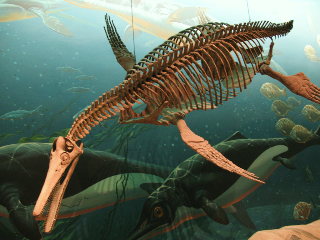 Many Nessie believers picture her as a plesiosaur. Image by Mr.TinDC .