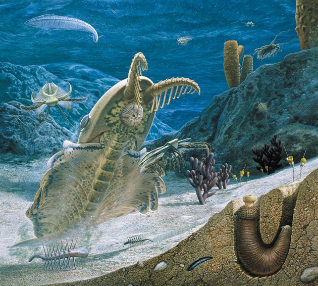 A huge variety of life appeared in the oceans during the Cambrian Explosion. Image by John Sibbick, via Nature .