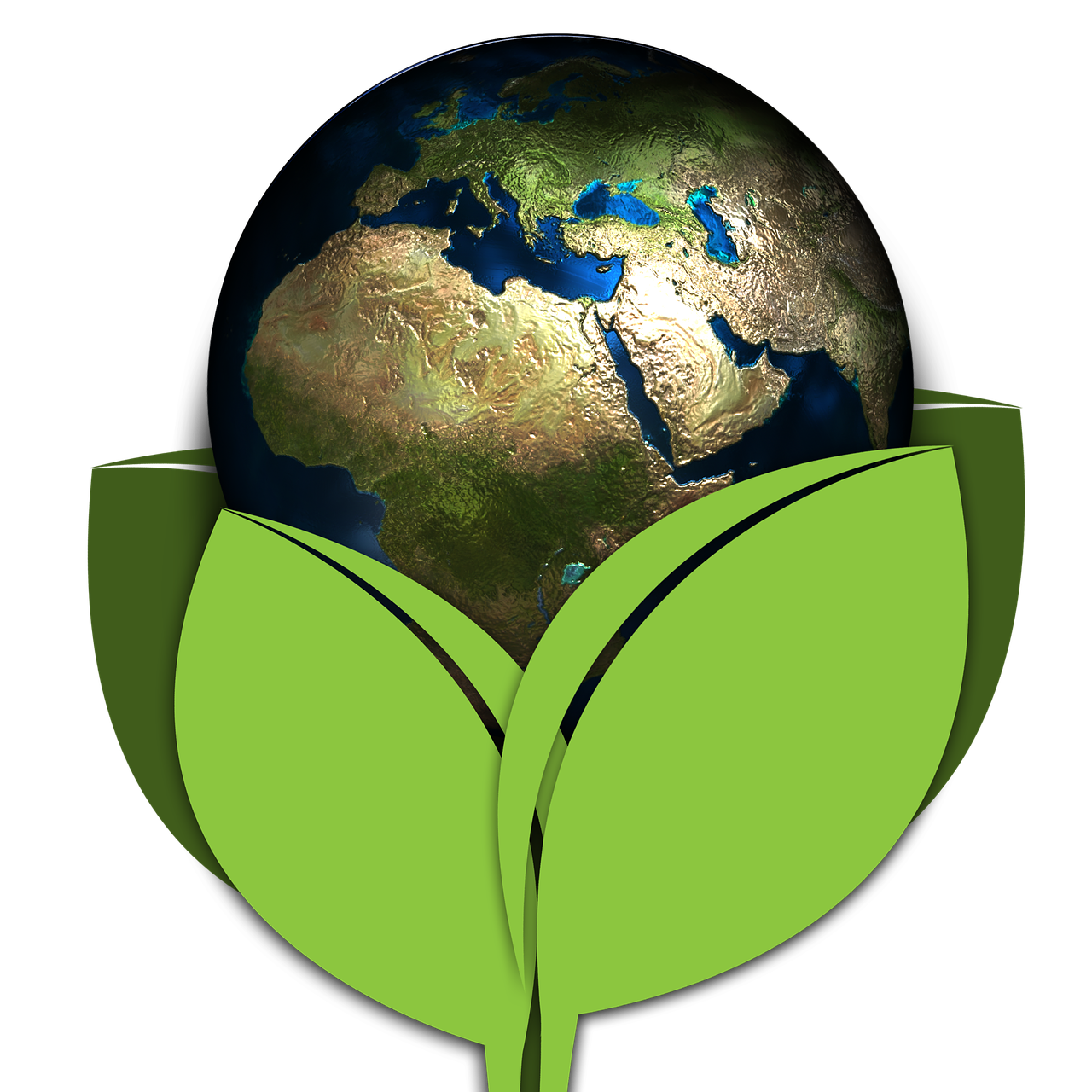 earth-1389717_1280.png