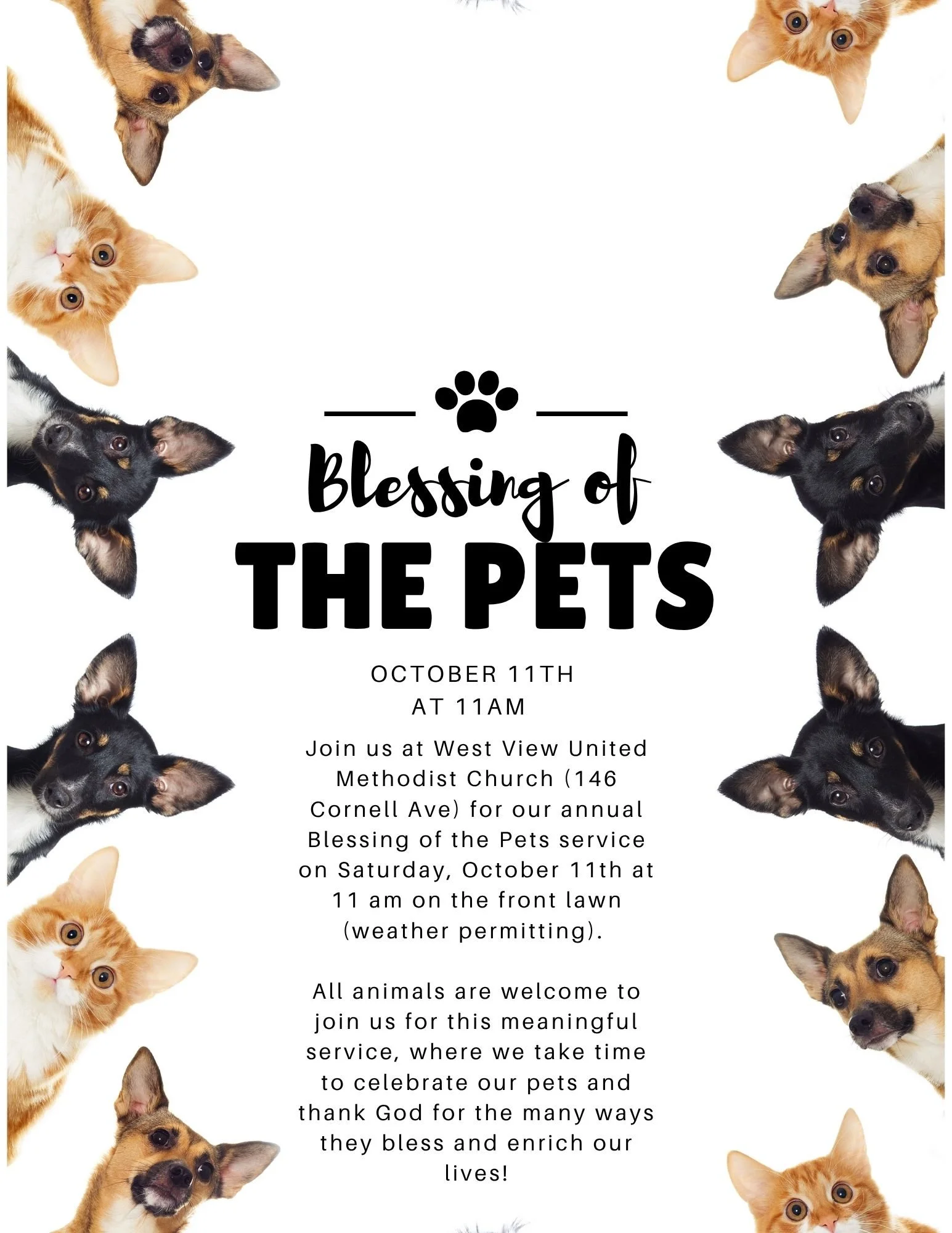 Blessing of the Pets