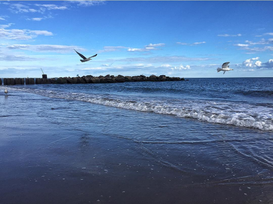 Screen Shot 2017-07-18 at 11.19.59 PM.png