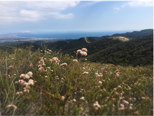 Screen Shot 2017-07-18 at 11.48.35 PM.png