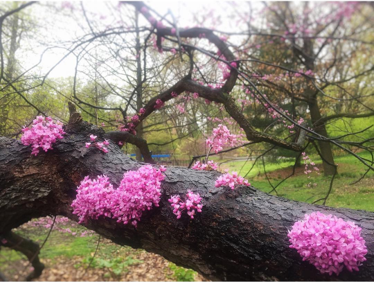 Screen Shot 2017-07-18 at 11.45.53 PM.png