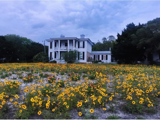 Screen Shot 2017-07-18 at 11.49.30 PM.png