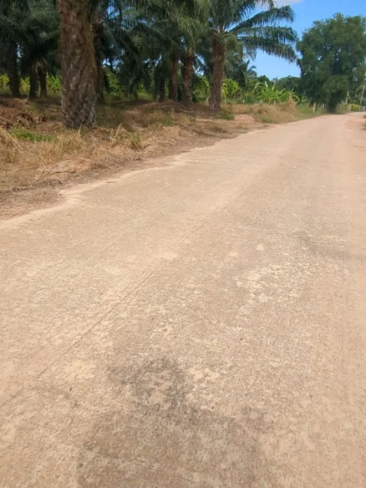 🏍️🌴