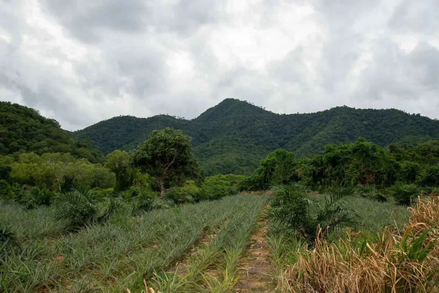 Country road trip pt 1 #thailand #thailand🇹🇭