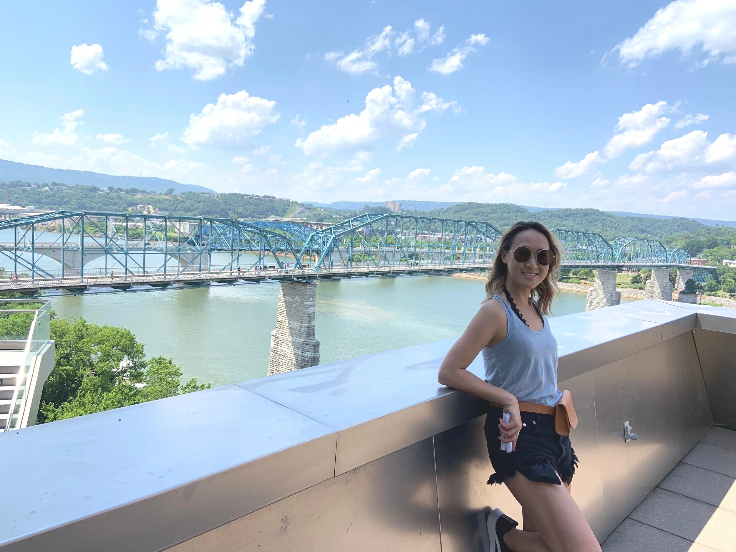 We walked across the Walnut Bridge and went to the Hunter Museum of American Art. Got this view here.
