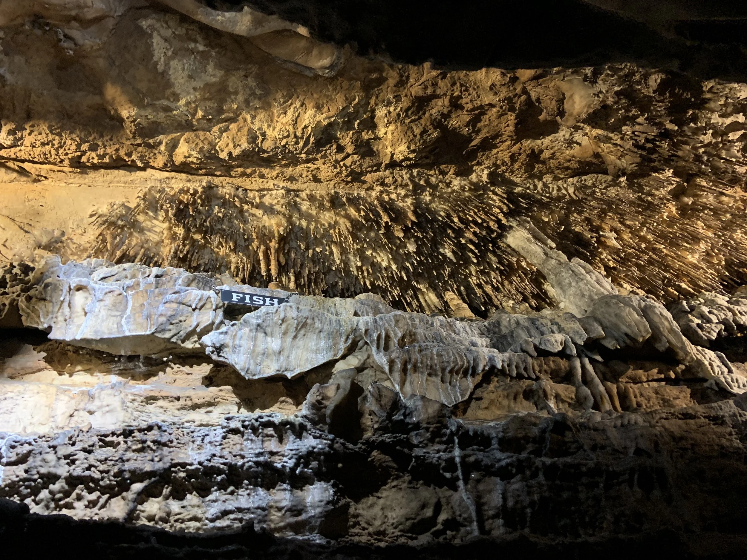 I didn’t take much pictures since we were inside the cave, and lighting was not the best. But I just love this picture showing the beauty of the inside of a cave.