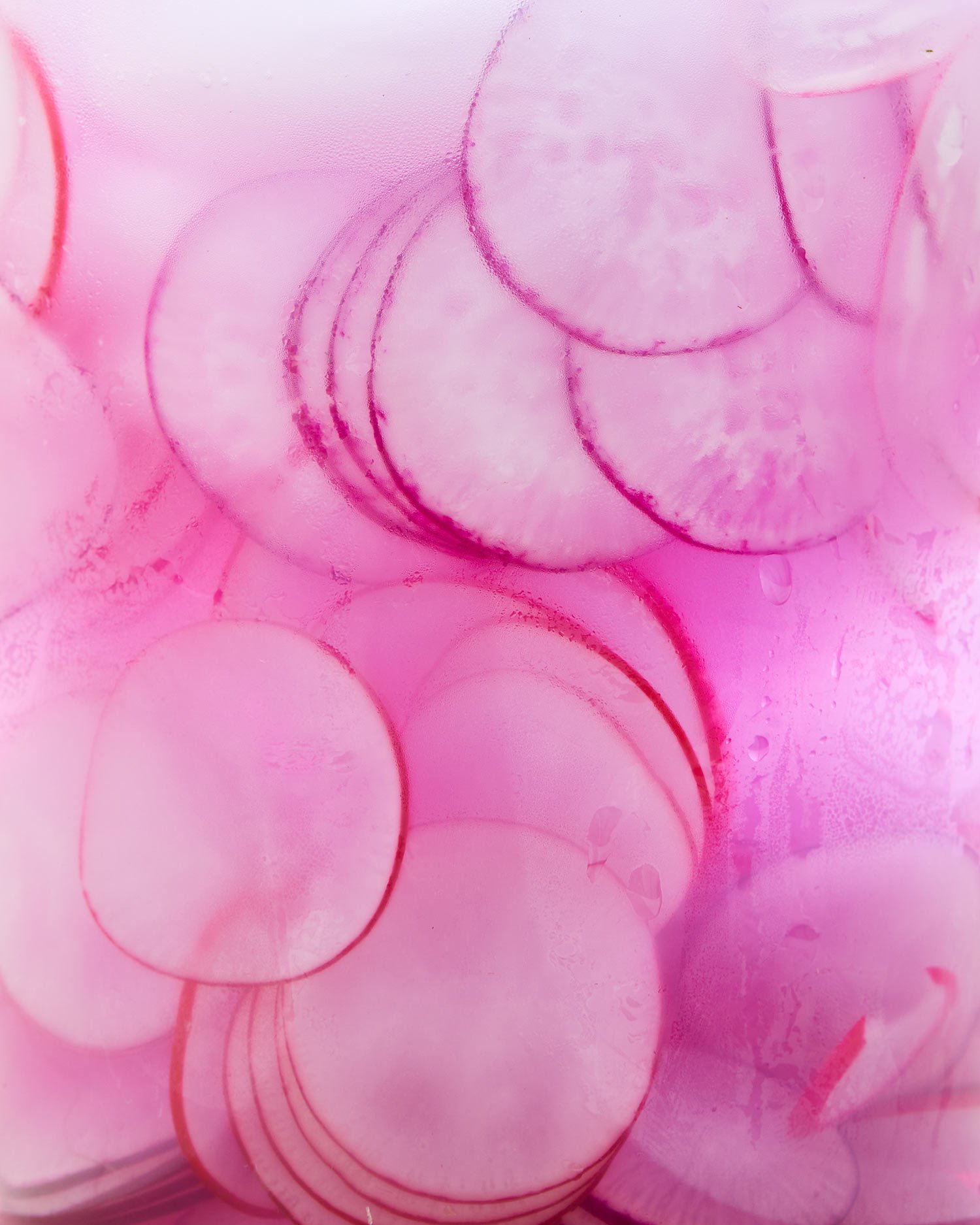 Radishes_017.jpg