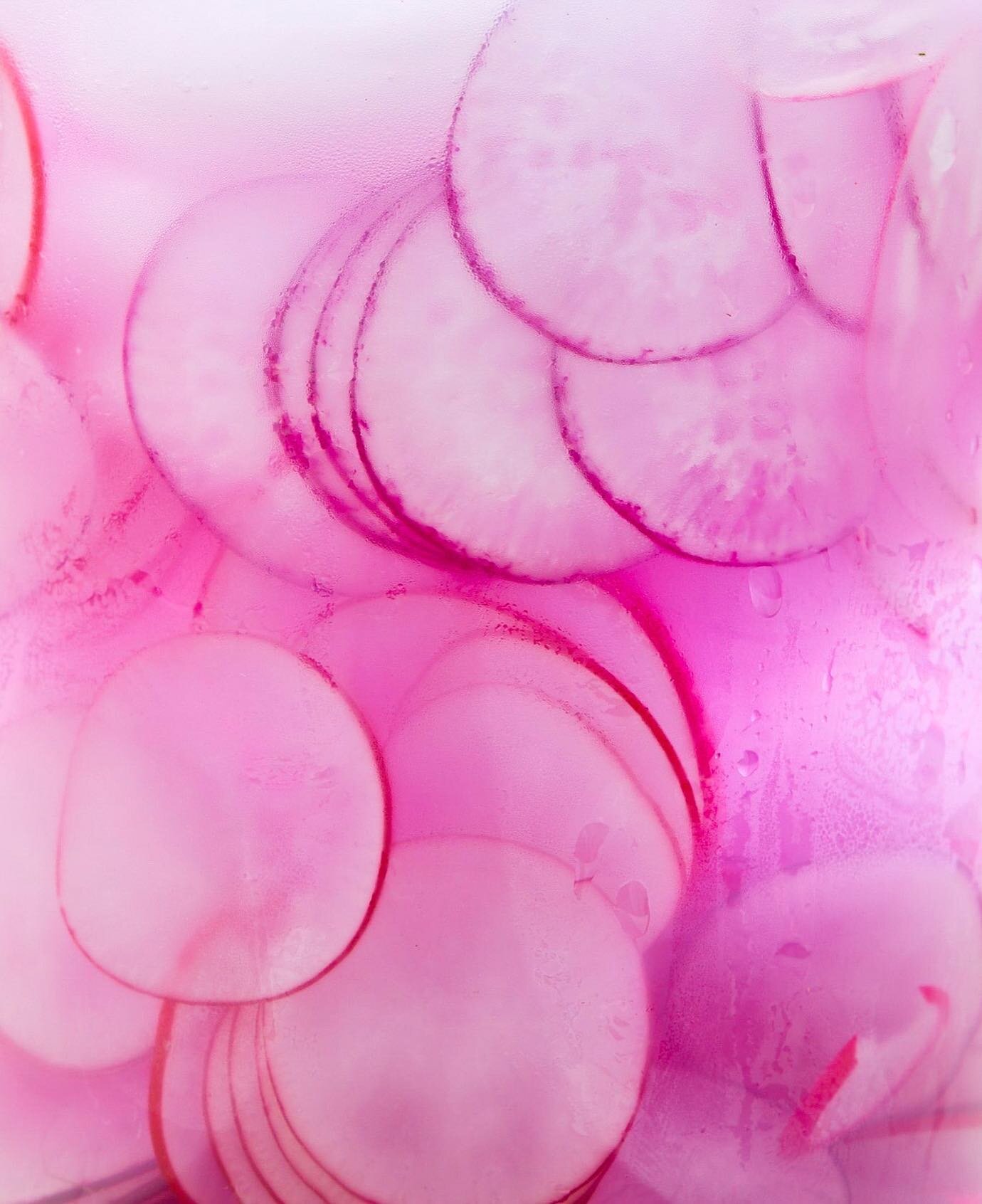 Thinly sliced radishes floating in a quart container of ice water. For @abramsbooks. Published in Salad Freak.