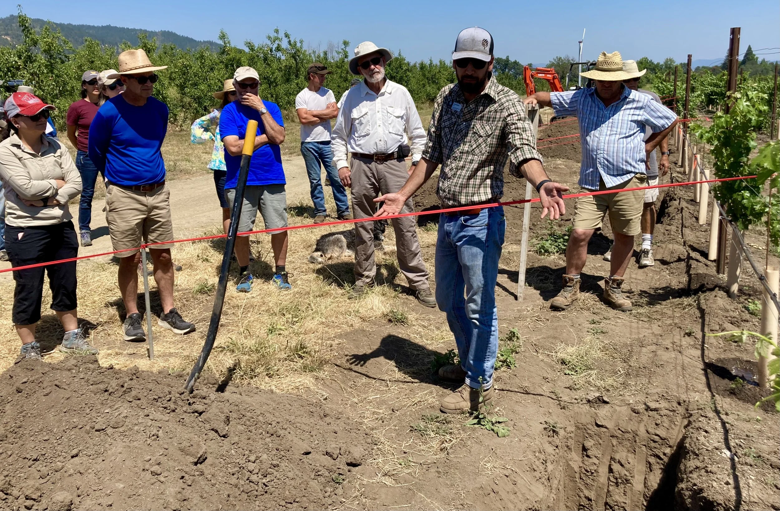 Unlocking the Secrets of the Vines